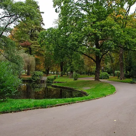 Lutterblick